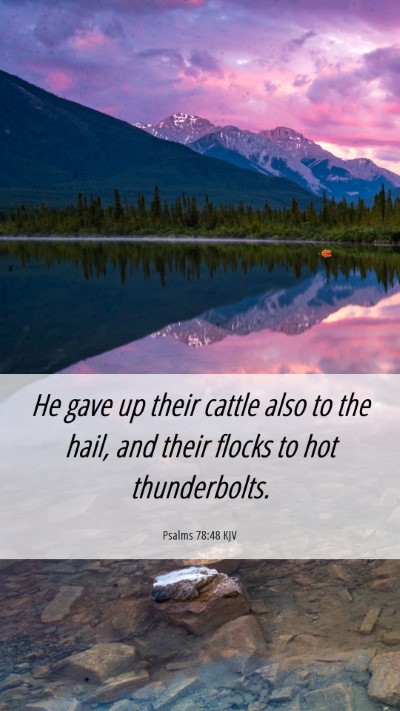 Picture 06 - Psalms 78:48 KJV Mobile Phone Wallpaper - He gave up their cattle also to the hail, and - Mobile Bible Verse Wallpaper