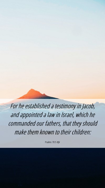 Picture 06 - Psalms 78:5 KJV Mobile Phone Wallpaper - For he established a testimony in Jacob, and - Mobile Bible Verse Wallpaper