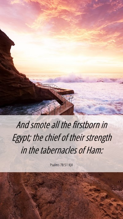 Picture 06 - Psalms 78:51 KJV Mobile Phone Wallpaper - And smote all the firstborn in Egypt; the chief - Mobile Bible Verse Wallpaper