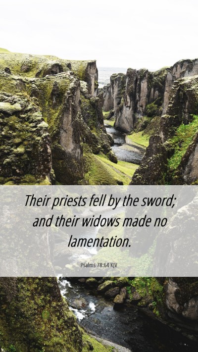 Picture 06 - Psalms 78:64 KJV Mobile Phone Wallpaper - Their priests fell by the sword; and their widows - Mobile Bible Verse Wallpaper