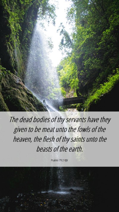 Picture 06 - Psalms 79:2 KJV Mobile Phone Wallpaper - The dead bodies of thy servants have they given - Mobile Bible Verse Wallpaper