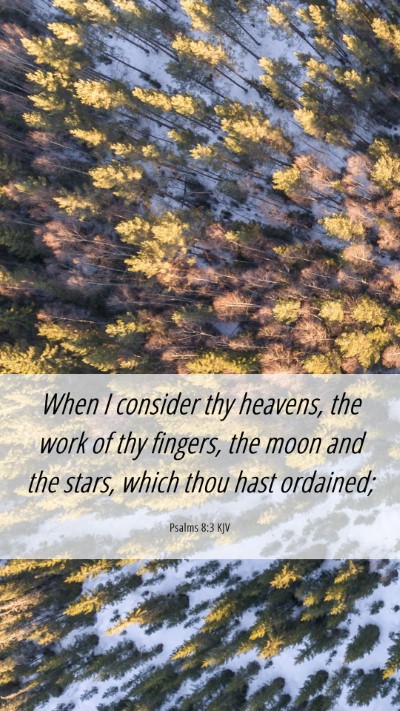 Picture 06 - Psalms 8:3 KJV Mobile Phone Wallpaper - When I consider thy heavens, the work of thy - Mobile Bible Verse Wallpaper
