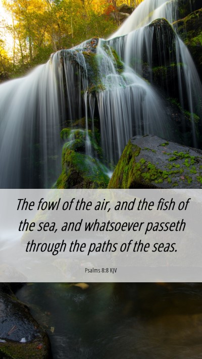 Picture 06 - Psalms 8:8 KJV Mobile Phone Wallpaper - The fowl of the air, and the fish of the sea, and - Mobile Bible Verse Wallpaper