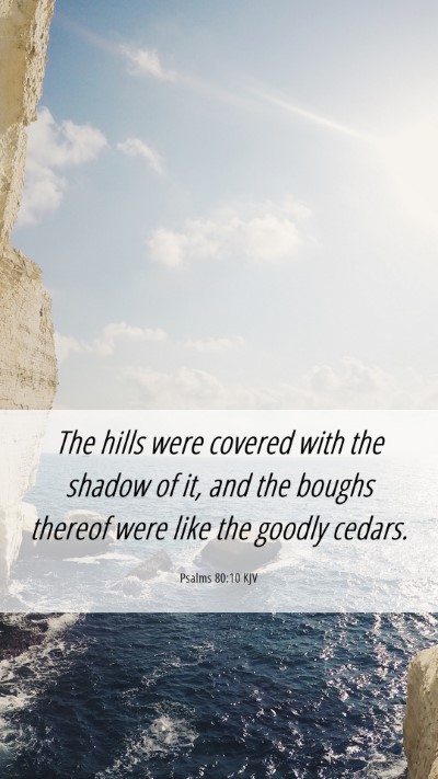Picture 06 - Psalms 80:10 KJV Mobile Phone Wallpaper - The hills were covered with the shadow of it, and - Mobile Bible Verse Wallpaper