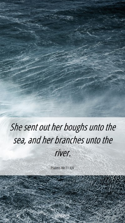 Picture 06 - Psalms 80:11 KJV Mobile Phone Wallpaper - She sent out her boughs unto the sea, and her - Mobile Bible Verse Wallpaper