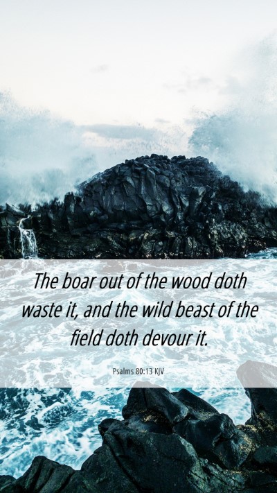 Picture 06 - Psalms 80:13 KJV Mobile Phone Wallpaper - The boar out of the wood doth waste it, and the - Mobile Bible Verse Wallpaper