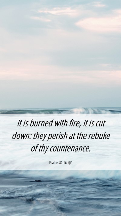 Picture 06 - Psalms 80:16 KJV Mobile Phone Wallpaper - It is burned with fire, it is cut down: they - Mobile Bible Verse Wallpaper