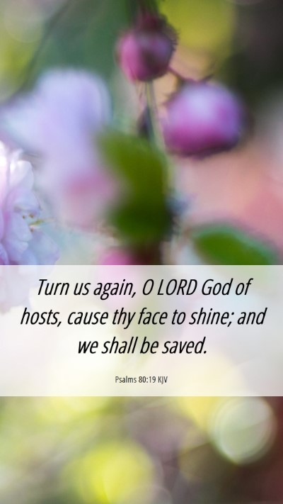 Picture 06 - Psalms 80:19 KJV Mobile Phone Wallpaper - Turn us again, O LORD God of hosts, cause thy - Mobile Bible Verse Wallpaper