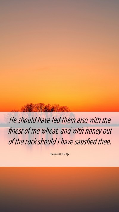Picture 06 - Psalms 81:16 KJV Mobile Phone Wallpaper - He should have fed them also with the finest of - Mobile Bible Verse Wallpaper