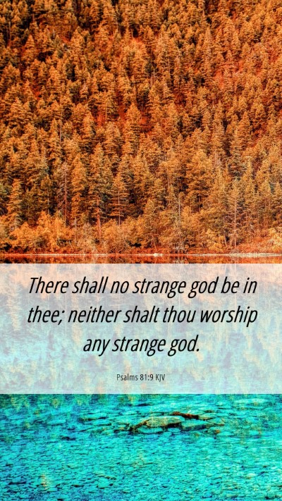 Picture 06 - Psalms 81:9 KJV Mobile Phone Wallpaper - There shall no strange god be in thee; neither - Mobile Bible Verse Wallpaper