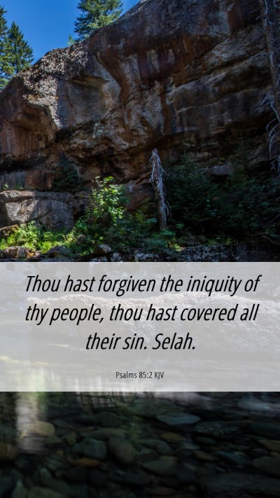 Picture 06 - Psalms 85:2 KJV Mobile Phone Wallpaper - Thou hast forgiven the iniquity of thy people, - Mobile Bible Verse Wallpaper