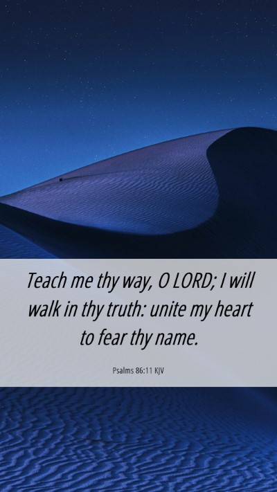 Picture 06 - Psalms 86:11 KJV Mobile Phone Wallpaper - Teach me thy way, O LORD; I will walk in thy - Mobile Bible Verse Wallpaper