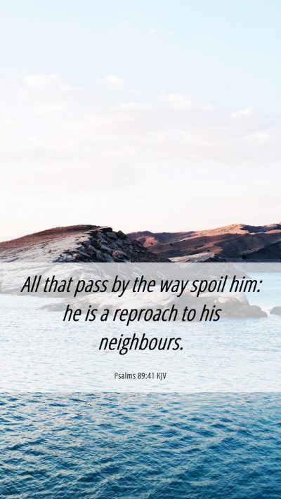Picture 06 - Psalms 89:41 KJV Mobile Phone Wallpaper - All that pass by the way spoil him: he is a - Mobile Bible Verse Wallpaper