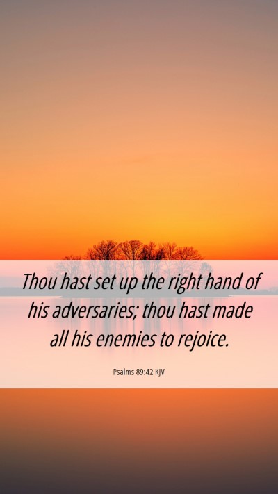 Picture 06 - Psalms 89:42 KJV Mobile Phone Wallpaper - Thou hast set up the right hand of his - Mobile Bible Verse Wallpaper