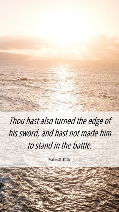 Picture 06 - Psalms 89:43 KJV Mobile Phone Wallpaper - Thou hast also turned the edge of his sword, and - Mobile Bible Verse Wallpaper