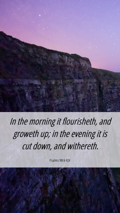 Picture 06 - Psalms 90:6 KJV Mobile Phone Wallpaper - In the morning it flourisheth, and groweth up; in - Mobile Bible Verse Wallpaper