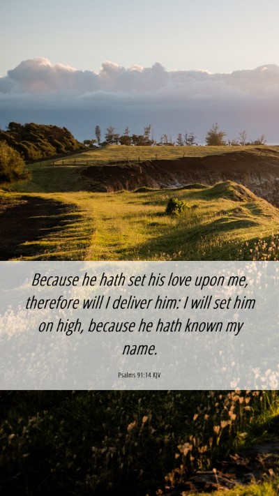 Picture 06 - Psalms 91:14 KJV Mobile Phone Wallpaper - Because he hath set his love upon me, therefore - Mobile Bible Verse Wallpaper