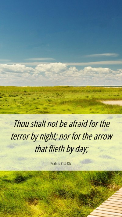 Picture 06 - Psalms 91:5 KJV Mobile Phone Wallpaper - Thou shalt not be afraid for the terror by night; - Mobile Bible Verse Wallpaper