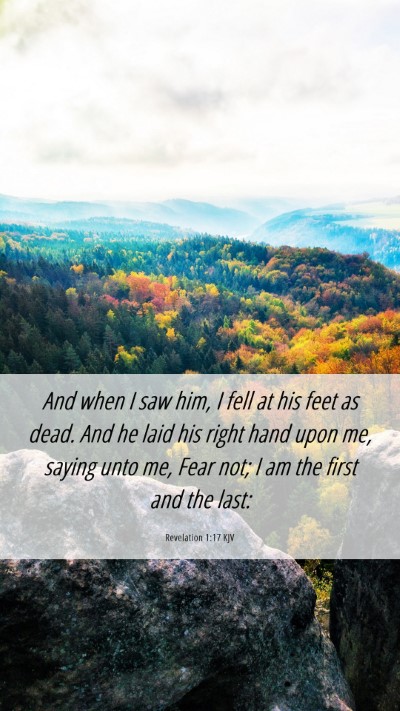 Picture 06 - Revelation 1:17 KJV Mobile Phone Wallpaper - And when I saw him, I fell at his feet as dead. - Mobile Bible Verse Wallpaper