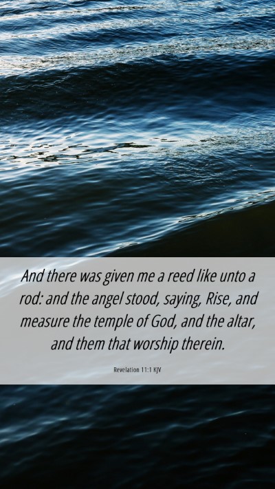 Picture 06 - Revelation 11:1 KJV Mobile Phone Wallpaper - And there was given me a reed like unto a rod: - Mobile Bible Verse Wallpaper