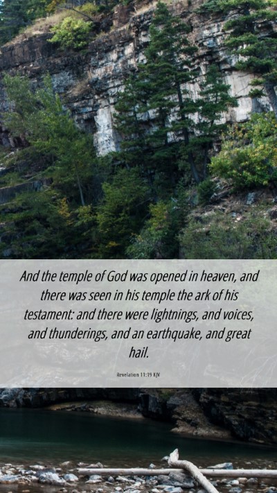 Picture 06 - Revelation 11:19 KJV Mobile Phone Wallpaper - And the temple of God was opened in heaven, and - Mobile Bible Verse Wallpaper