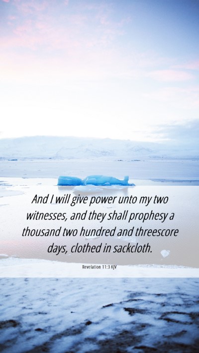 Picture 06 - Revelation 11:3 KJV Mobile Phone Wallpaper - And I will give power unto my two witnesses, and - Mobile Bible Verse Wallpaper