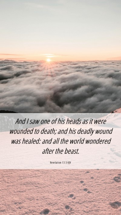 Picture 06 - Revelation 13:3 KJV Mobile Phone Wallpaper - And I saw one of his heads as it were wounded to - Mobile Bible Verse Wallpaper