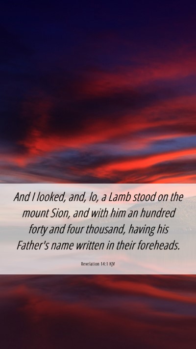 Picture 06 - Revelation 14:1 KJV Mobile Phone Wallpaper - And I looked, and, lo, a Lamb stood on the mount - Mobile Bible Verse Wallpaper