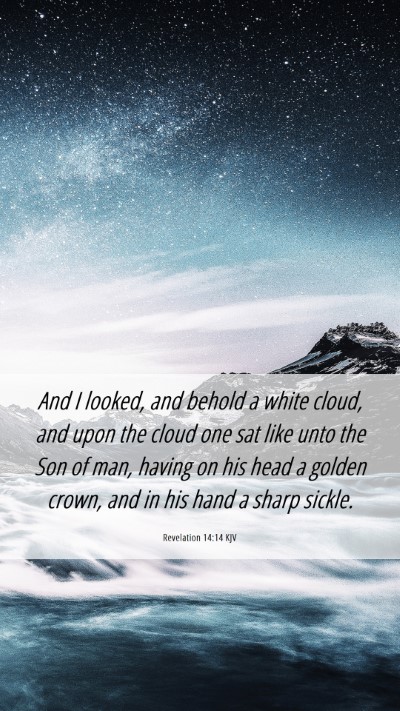 Picture 06 - Revelation 14:14 KJV Mobile Phone Wallpaper - And I looked, and behold a white cloud, and upon - Mobile Bible Verse Wallpaper