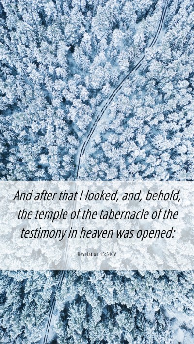 Picture 06 - Revelation 15:5 KJV Mobile Phone Wallpaper - And after that I looked, and, behold, the temple - Mobile Bible Verse Wallpaper