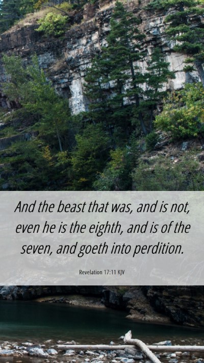 Picture 06 - Revelation 17:11 KJV Mobile Phone Wallpaper - And the beast that was, and is not, even he is - Mobile Bible Verse Wallpaper