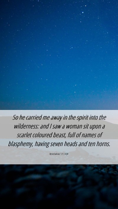 Picture 06 - Revelation 17:3 KJV Mobile Phone Wallpaper - So he carried me away in the spirit into the - Mobile Bible Verse Wallpaper