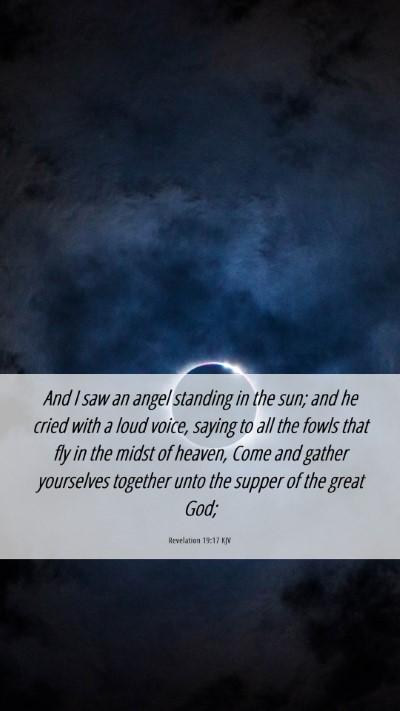Picture 06 - Revelation 19:17 KJV Mobile Phone Wallpaper - And I saw an angel standing in the sun; and he - Mobile Bible Verse Wallpaper
