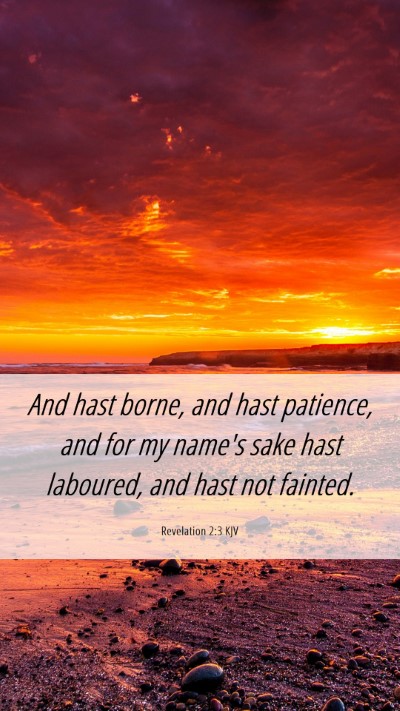 Picture 06 - Revelation 2:3 KJV Mobile Phone Wallpaper - And hast borne, and hast patience, and for my - Mobile Bible Verse Wallpaper
