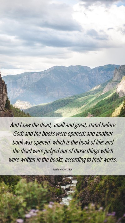 Picture 06 - Revelation 20:12 KJV Mobile Phone Wallpaper - And I saw the dead, small and great, stand before - Mobile Bible Verse Wallpaper