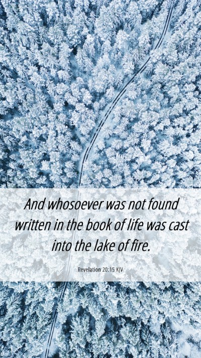 Picture 06 - Revelation 20:15 KJV Mobile Phone Wallpaper - And whosoever was not found written in the book - Mobile Bible Verse Wallpaper