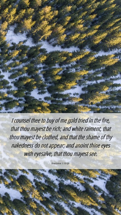 Picture 06 - Revelation 3:18 KJV Mobile Phone Wallpaper - I counsel thee to buy of me gold tried in the - Mobile Bible Verse Wallpaper