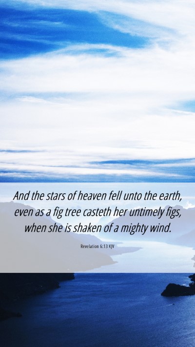 Picture 06 - Revelation 6:13 KJV Mobile Phone Wallpaper - And the stars of heaven fell unto the earth, even - Mobile Bible Verse Wallpaper