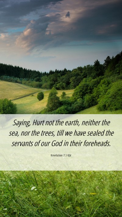 Picture 06 - Revelation 7:3 KJV Mobile Phone Wallpaper - Saying, Hurt not the earth, neither the sea, nor - Mobile Bible Verse Wallpaper