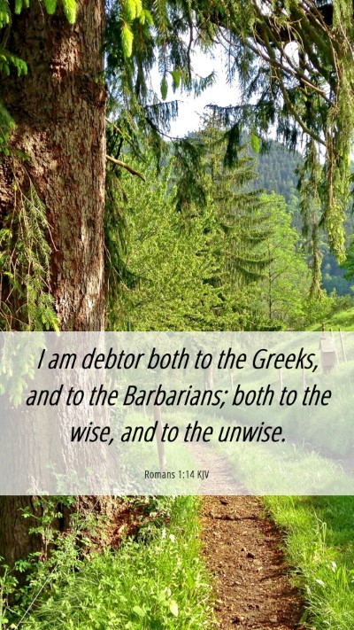 Picture 06 - Romans 1:14 KJV Mobile Phone Wallpaper - I am debtor both to the Greeks, and to the - Mobile Bible Verse Wallpaper