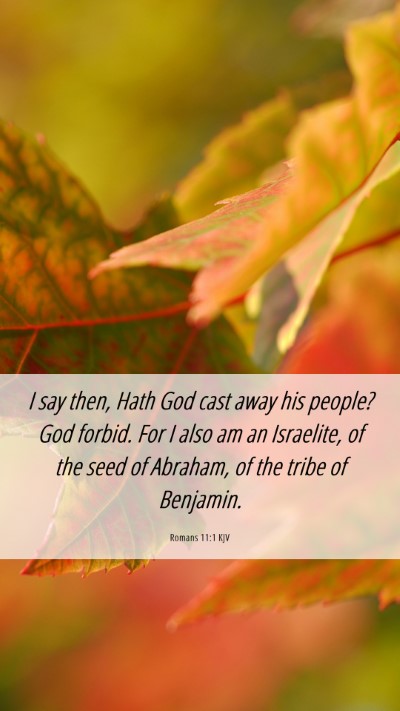 Picture 06 - Romans 11:1 KJV Mobile Phone Wallpaper - I say then, Hath God cast away his people? God - Mobile Bible Verse Wallpaper
