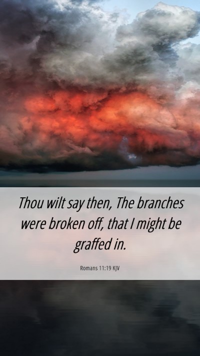 Picture 06 - Romans 11:19 KJV Mobile Phone Wallpaper - Thou wilt say then, The branches were broken off, - Mobile Bible Verse Wallpaper