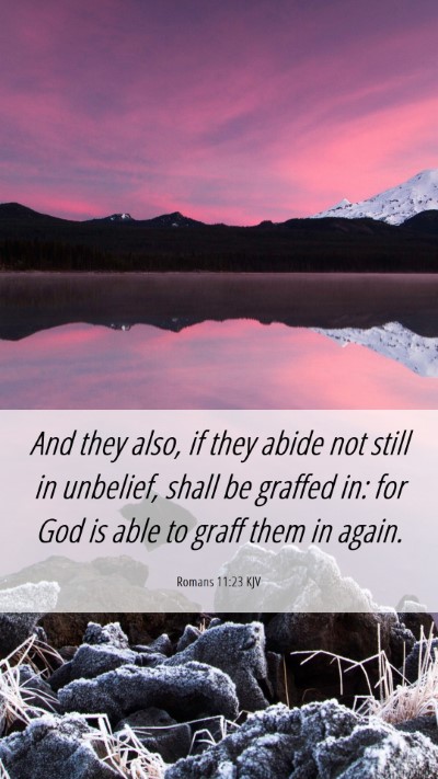 Picture 06 - Romans 11:23 KJV Mobile Phone Wallpaper - And they also, if they abide not still in - Mobile Bible Verse Wallpaper