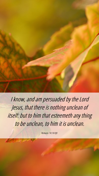 Picture 06 - Romans 14:14 KJV Mobile Phone Wallpaper - I know, and am persuaded by the Lord Jesus, that - Mobile Bible Verse Wallpaper
