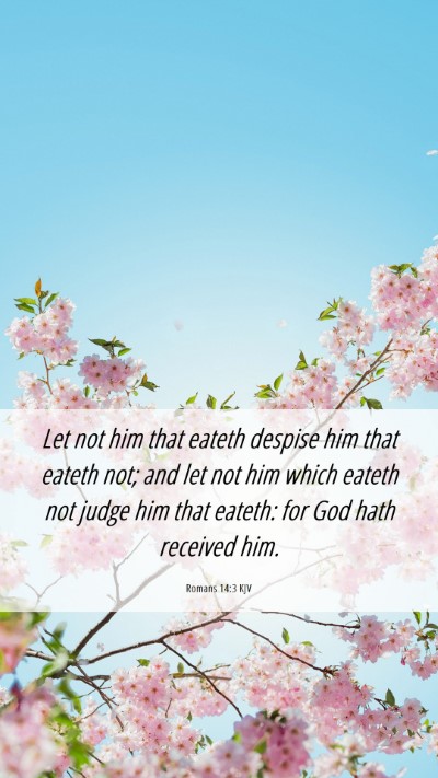Picture 06 - Romans 14:3 KJV Mobile Phone Wallpaper - Let not him that eateth despise him that eateth - Mobile Bible Verse Wallpaper