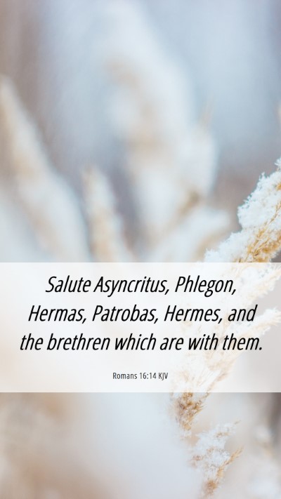 Picture 06 - Romans 16:14 KJV Mobile Phone Wallpaper - Salute Asyncritus, Phlegon, Hermas, Patrobas, - Mobile Bible Verse Wallpaper