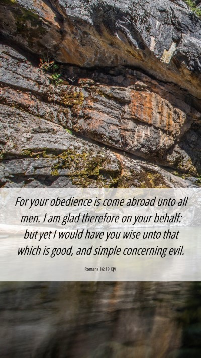 Picture 06 - Romans 16:19 KJV Mobile Phone Wallpaper - For your obedience is come abroad unto all men. I - Mobile Bible Verse Wallpaper