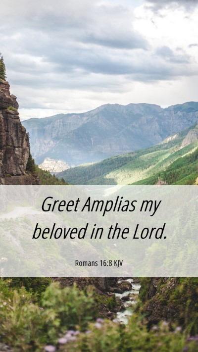 Picture 06 - Romans 16:8 KJV Mobile Phone Wallpaper - Greet Amplias my beloved in the - Mobile Bible Verse Wallpaper