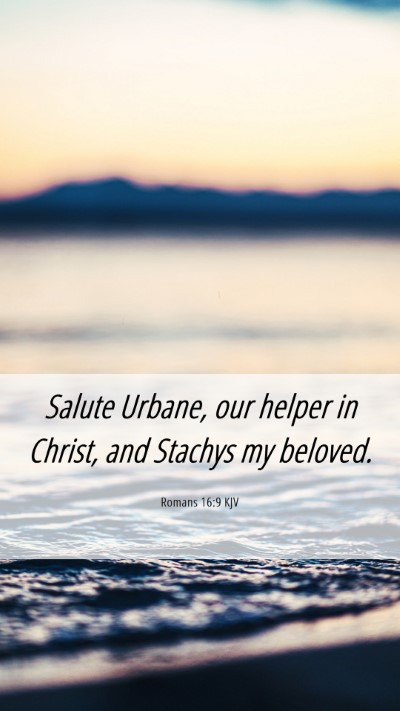 Picture 06 - Romans 16:9 KJV Mobile Phone Wallpaper - Salute Urbane, our helper in Christ, and Stachys - Mobile Bible Verse Wallpaper