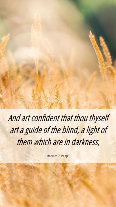 Picture 06 - Romans 2:19 KJV Mobile Phone Wallpaper - And art confident that thou thyself art a guide - Mobile Bible Verse Wallpaper